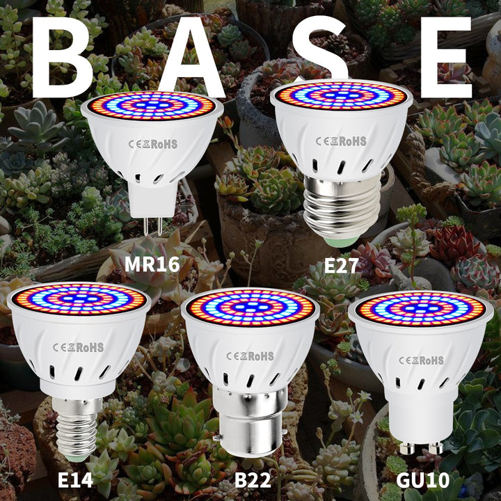 Phyto Led B22 Hydroponic Growth Light E27 Led Grow Bulb MR16 Full Spectrum 220V UV Lamp Plant E14 Flower Seedling Fitolamp GU10 - Grow Nature
